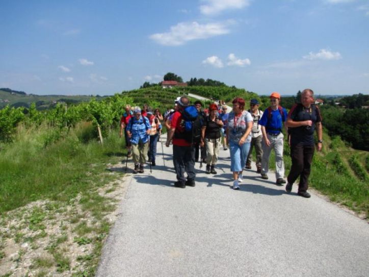 44. SREČANJE PD POŠTE IN TELEKOMA SLOVENIJE V HALOZAH, 12.06.2011