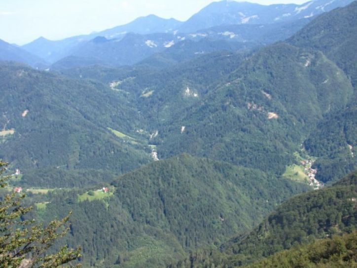 ČRNA PRST SKOZI OČI BOTANIKA, 09.07.2011