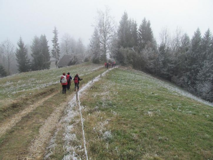 PO LOGAŠKI PLANINSKI POTI: HOTEDRŠICA - MEDVEDJE BRDO - ROVTE, 20. november 2011