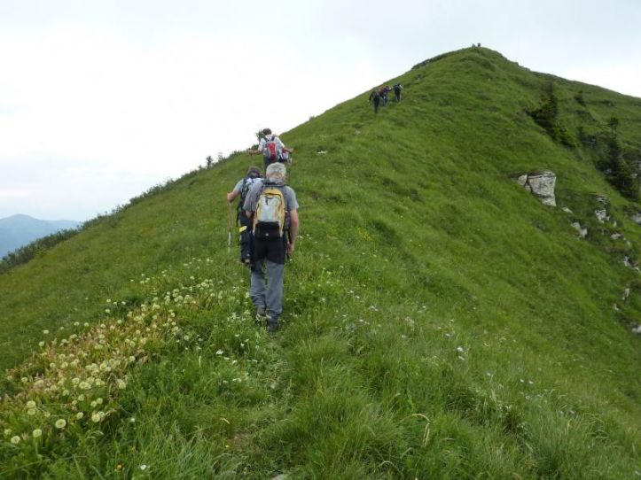 6. tradicionalni pohod z botanikom na Kopo (1.360 m) in vzpon na Porezen (1630 m), 23. junij 2012 