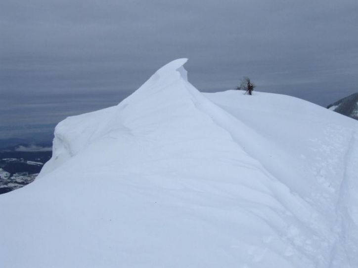 Planinska šola varnejšega gibanja v gorskem svetu: Ptičji vrh (1550 m) - nedelja, 23. februar 2014