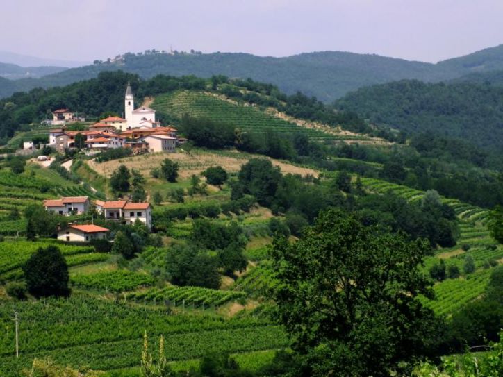 POHOD OD ČEŠNJE DO ČEŠNJE Z BREŽIŠKIMI TORKARJI - GORIŠKA BRDA - četrtek, 12. junij 2014