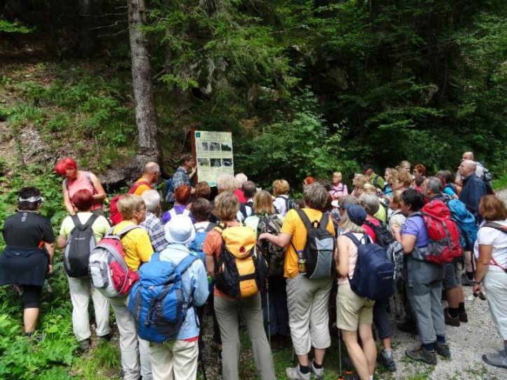 Dovžanova soteska z geologom - nedelja, 3. avgust 2014