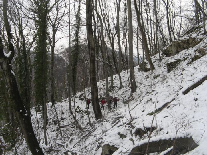 KUM 1220m, 01.02.2015
