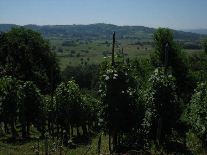 Krajinski park Jovsi - sožitje človeka in narave, 10. julij 2010 