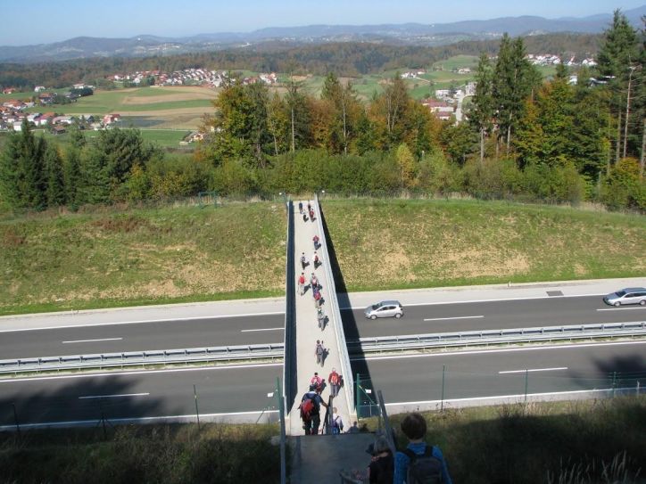 Od Gabra do Vrhtrebnjega19.10.2017