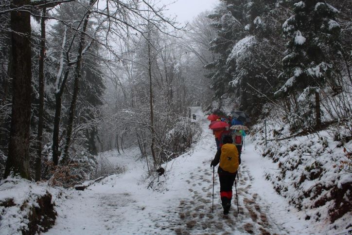 66.OBČNI ZBOR PD PT LJUBLJANA