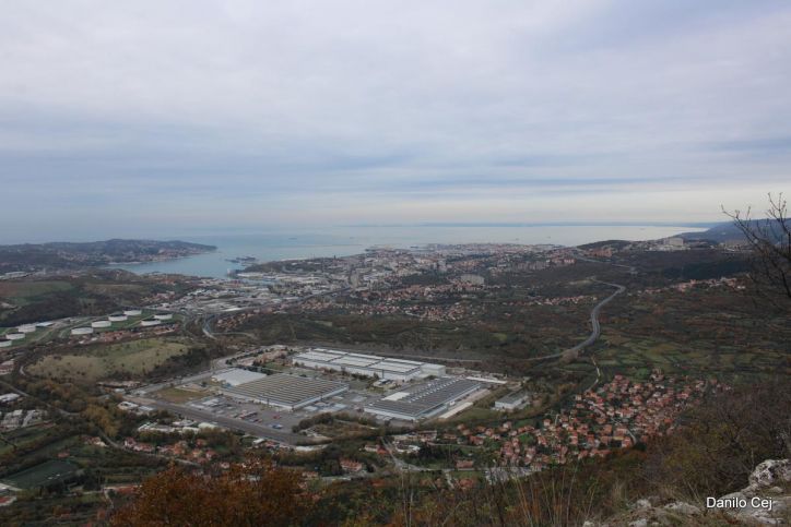 Socerb-Črni kal
