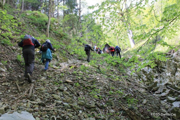 Čičer(726m)z lokalnimi znamenitostmi