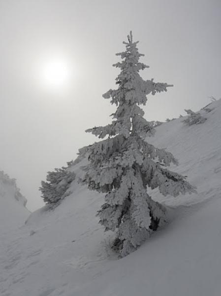 BOGATIN 1977m, 29.01.2012